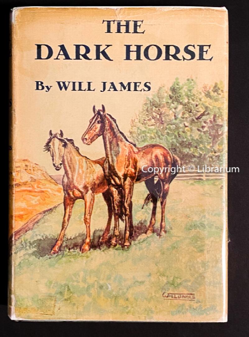 Image for The Dark Horse