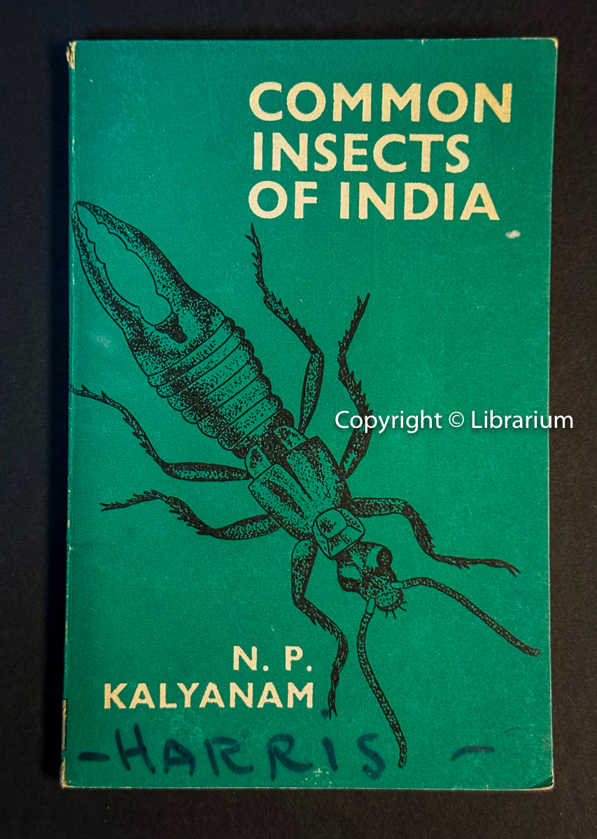 Common Insects of India