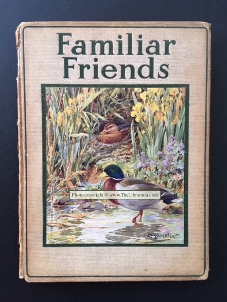 Image for Familiar Friends at Home (The Rambler Nature Books)