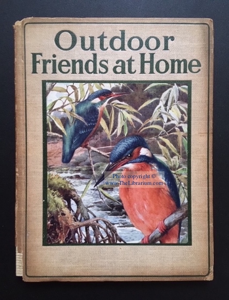 Image for Outdoor Friends at Home: By Hedgerow, Mead, and Pool (The Rambler Nature Books)
