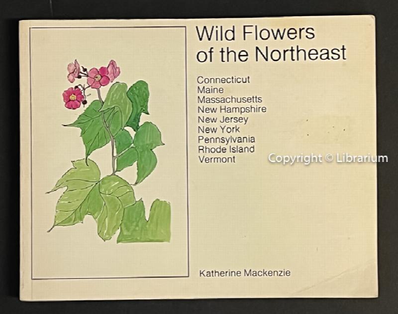Image for Wild Flowers of the Northeast: Connecticut, Maine, Massachusetts, New Hampshire, New Jersey, New York, Pennsylvania, Rhode Island, Vermont