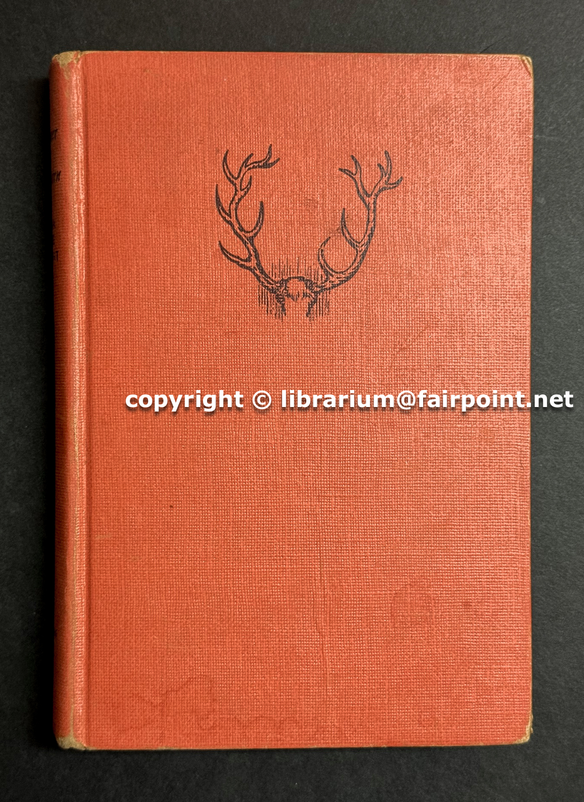 Image for Summer at Buckhorn Summer at Buckhorn